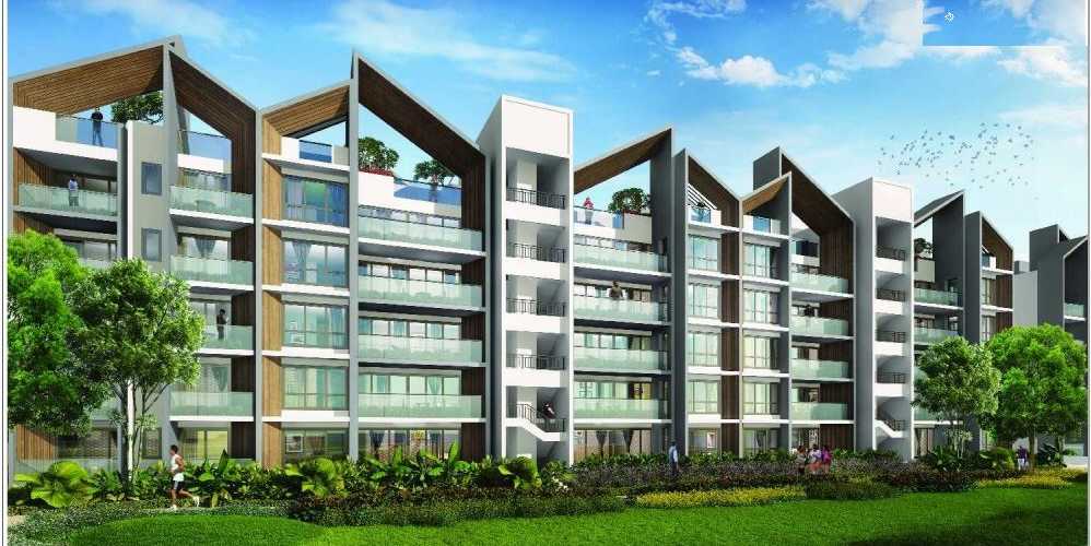 Rise Forest Floors— An Amazing Housing Plan for Buyers!