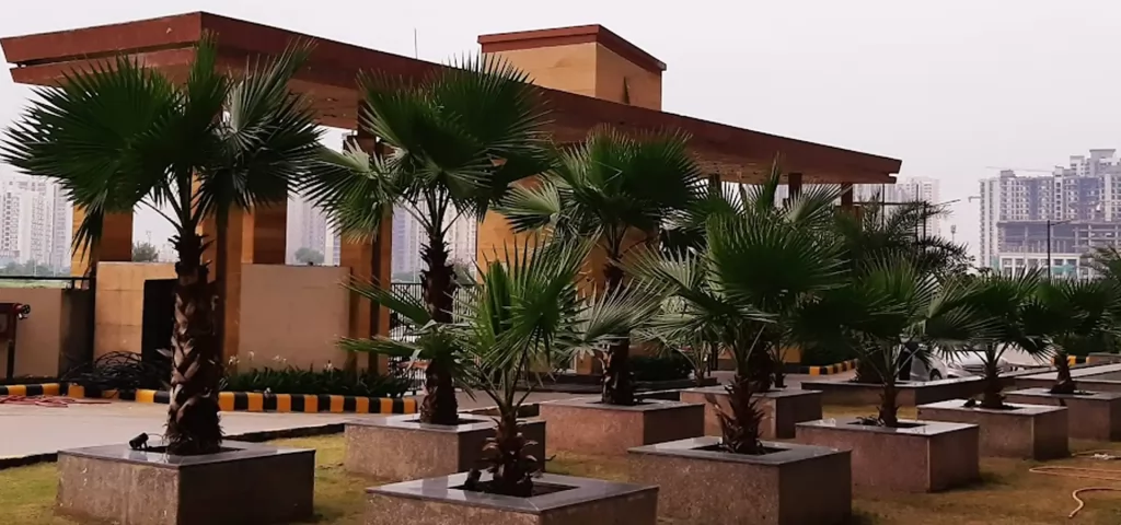 Everything You Need to Know About Buying a Home in Noida Extension